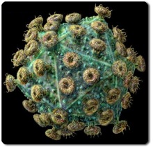 Influenza o Gripe Porcina